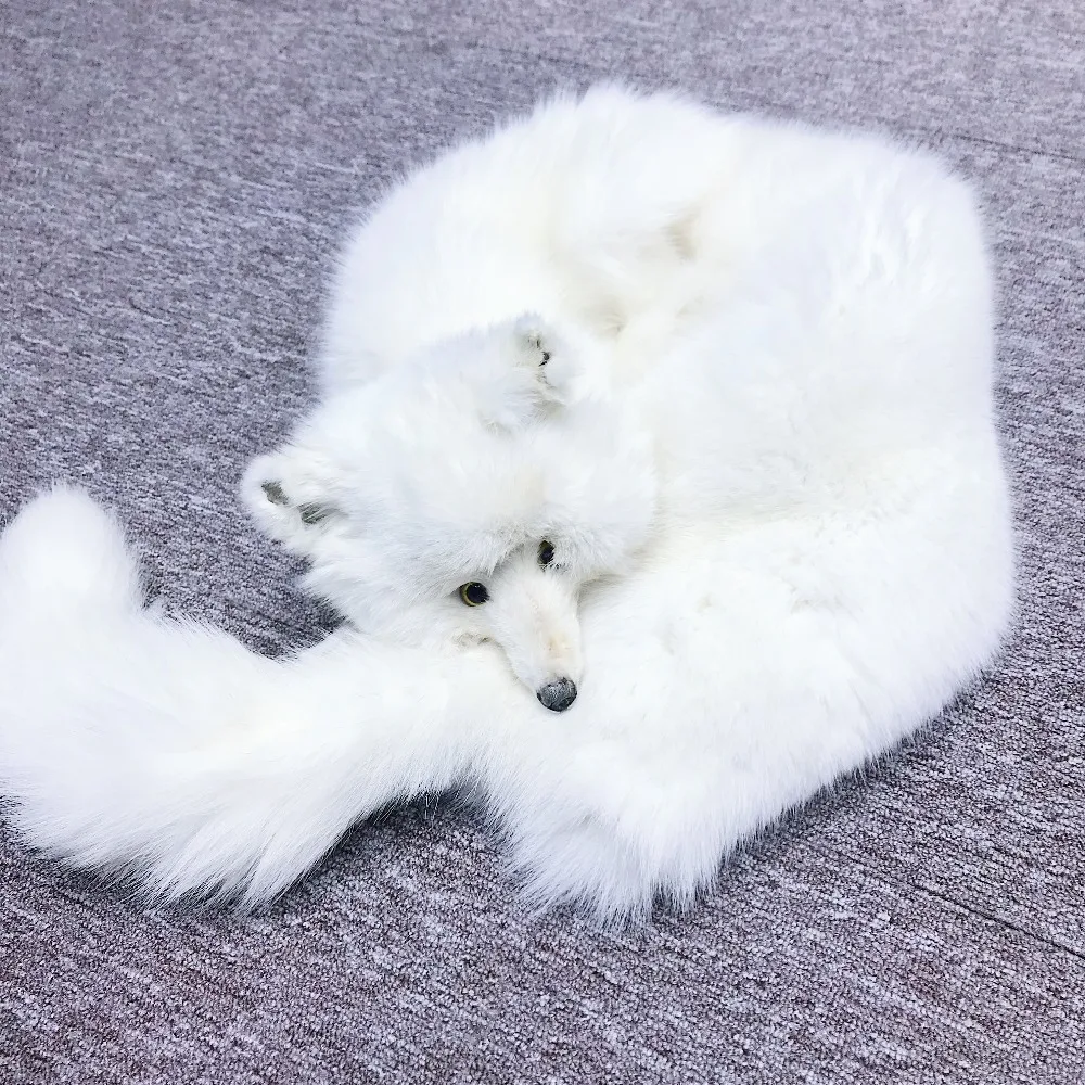 Теплый женский шарф из цельной кожи с лисьим мехом Осень-зима |