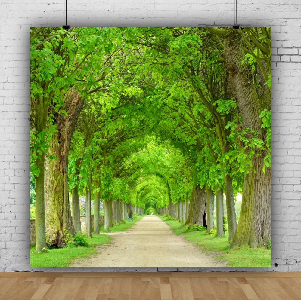 Зеленые весенние старые деревья Дорога трава детская вечевечерние НКА портрет