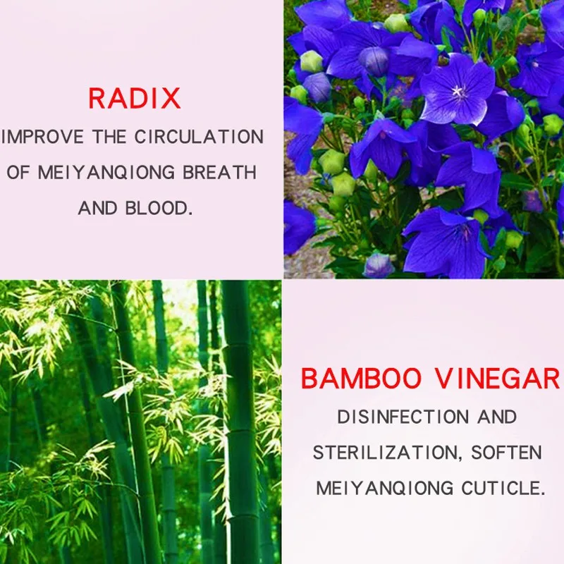 

10 Packs/1 set Foot Care Bamboo Vinegar Extract 2 in 1 Better Sleep Keeping Dysmenorrhea Acne Remover Foot Pads