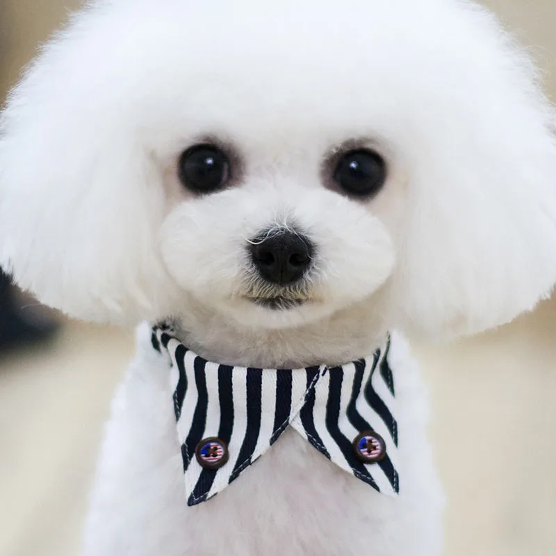 Регулируемый ошейник для кошек и собак аксессуар груминга питомцев щенков