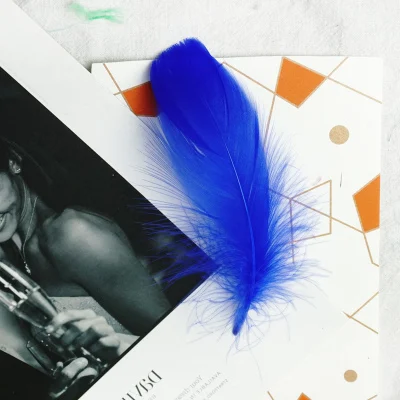 Royal blue 100 шт натуральные перья лебедя 4-8 см Смешанные Окрашенные цвета гуси перо Свадебная вечеринка одежда украшения для самодельного изготовления перья - Цвет: Royal blue