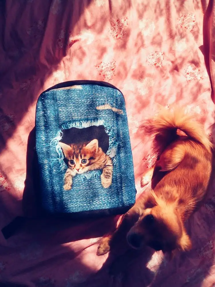 Забавные 3D джинсы детские школьные сумки черного цвета с кошкой Mochila Infantil для