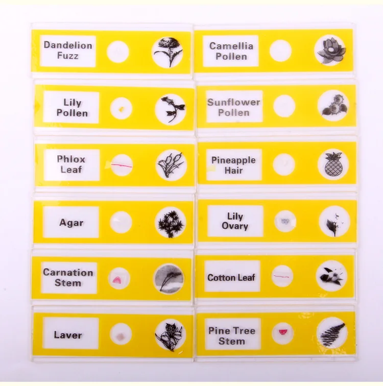 Детский студенческий 1200 раз аксессуары для микроскопа 12 штук образцов животных и