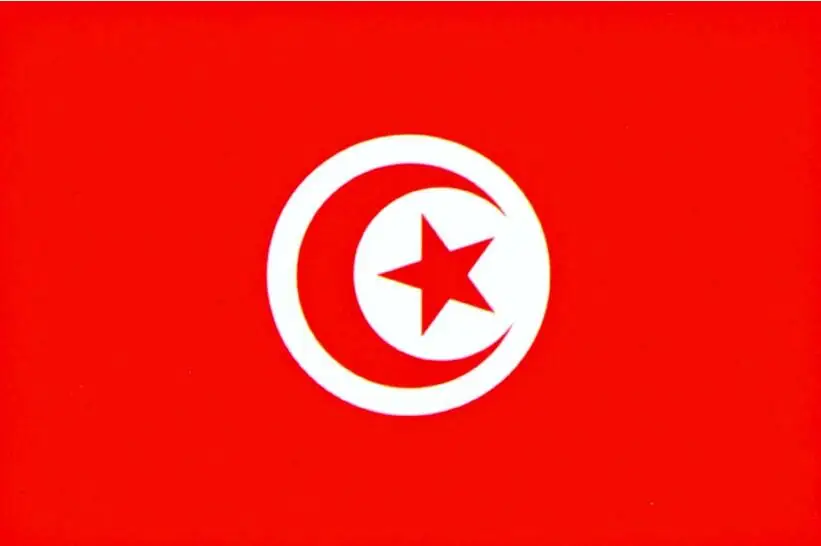 

free shipping aerlxemrbrae flag Tunisia Flag NEW 90x150cm Tunisian Flag 100% Polyester 3x5ft Flag of Tunisia