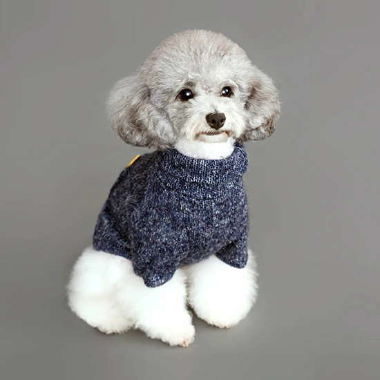Новинка осенне зимний свитер для маленьких собак пальто зимняя одежда куртка с