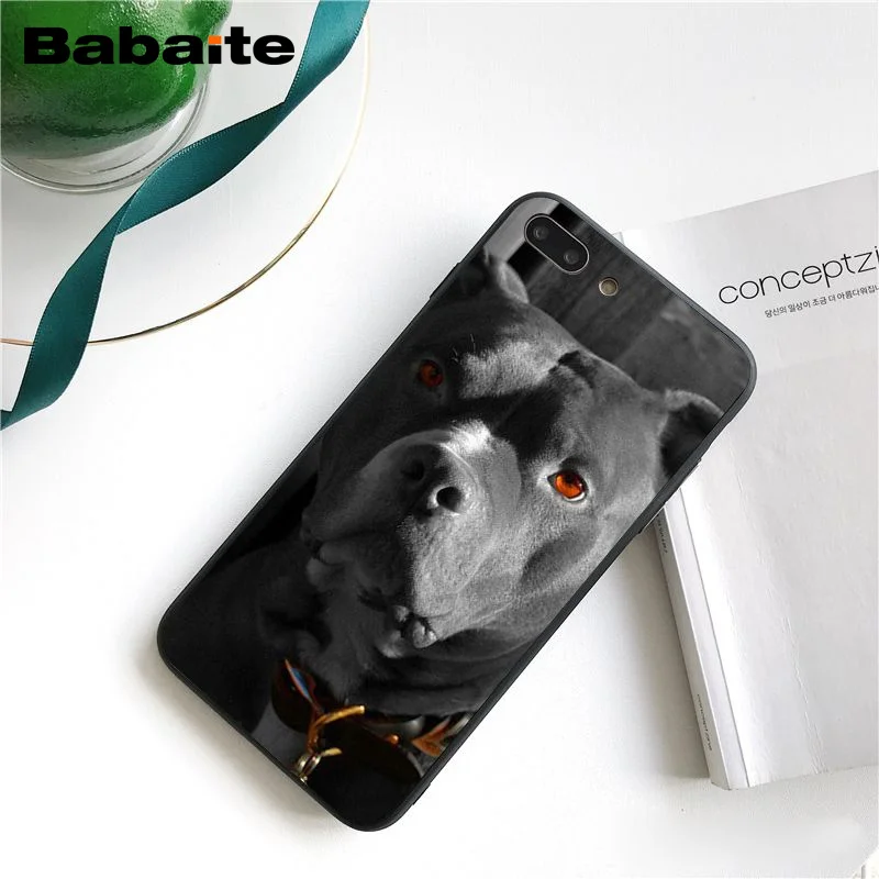 A13 Babaite питбуль прекрасный питбуль чехол для телефона чехол для iphone 11 Pro 11Pro Max X XS MAX 6 6s 7 7plus 8 8Plus 5S SE XR - Цвет: A13
