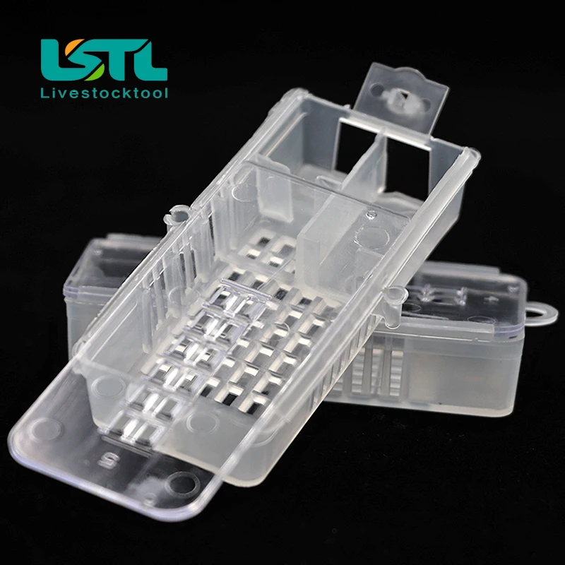 20 шт. клетки для пчеловодства|Инструменты пчеловодства| |