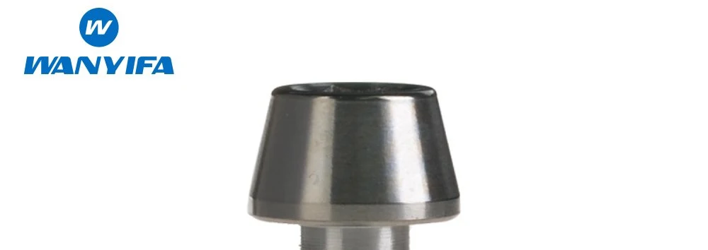 Титановый "Wanyifa" Болт M6 x 10, 15, 16, 18, 20, 25 30 35, 40 45 50 55 60 65 мм шестигранный ключ конусности головки болта для велосипедная рулевая колонка стоп-сигнал - Цвет: Titanium