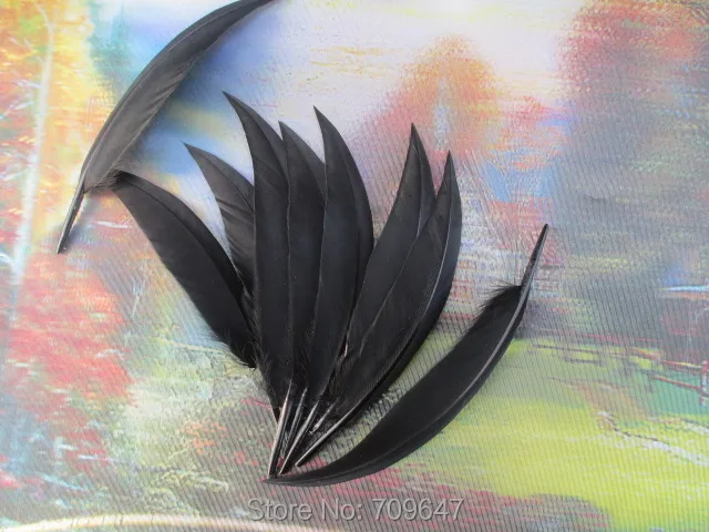 

Plumas de colores! 200PCS/LOT!10-15cm Curved Black Goose Quill Feathers Wild Duck Feathers 4-6inch/10-15cm diy hot