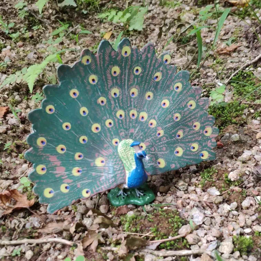 Peacock Фигурки птиц, Имитационные фигурки птиц, модели животных, игрушки для домашнего декора, миниатюрное украшение для сада в виде Феи, орнамент, подарки для детей - Цвет: Peacock