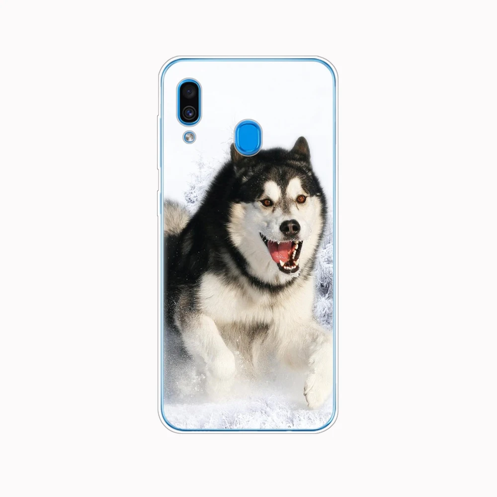 Чехол для Samsung A50 чехол Galaxy A60 A10 A30 A40 A70 A 50 2019 A9 A7 2018 забавный хаски собака|Бамперы| |