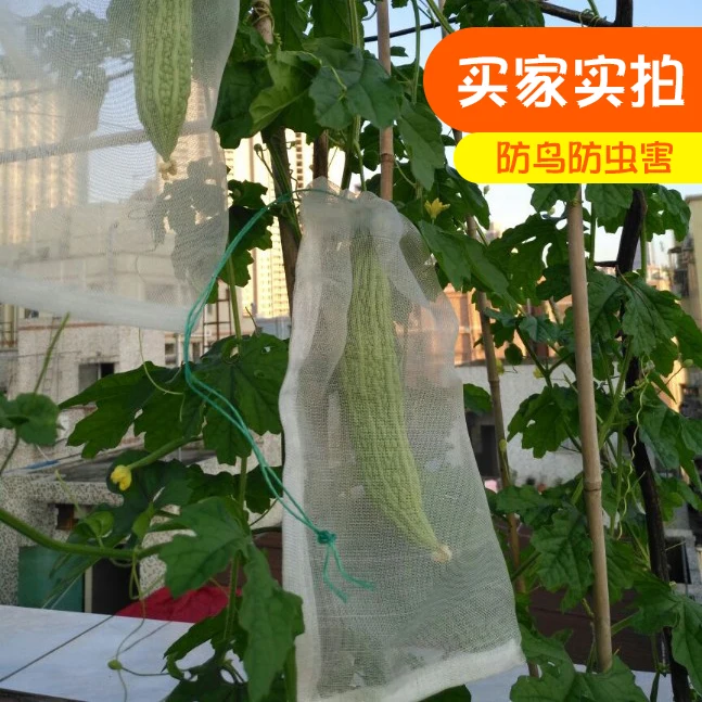Insect anti bird mesh 40 mesh nylon net bags35x25cm of seed soaking fine grape fruit bag custom pitaya bag