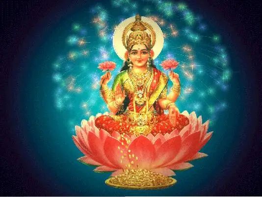 TOUOILP 5D Сделай Сам 5d Lakshmi Алмазная картина полный 5d алмазная вышивка распродажа набор крестиков Стразы мозаика садовый декор - Цвет: 14