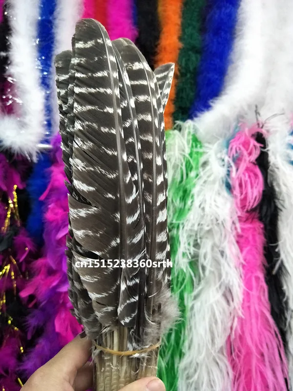 

wholesale Perfect 50pcs Scarce pattern natural eagle feathers 8-16inch/20-40cm Clothing accessories stage performance diy