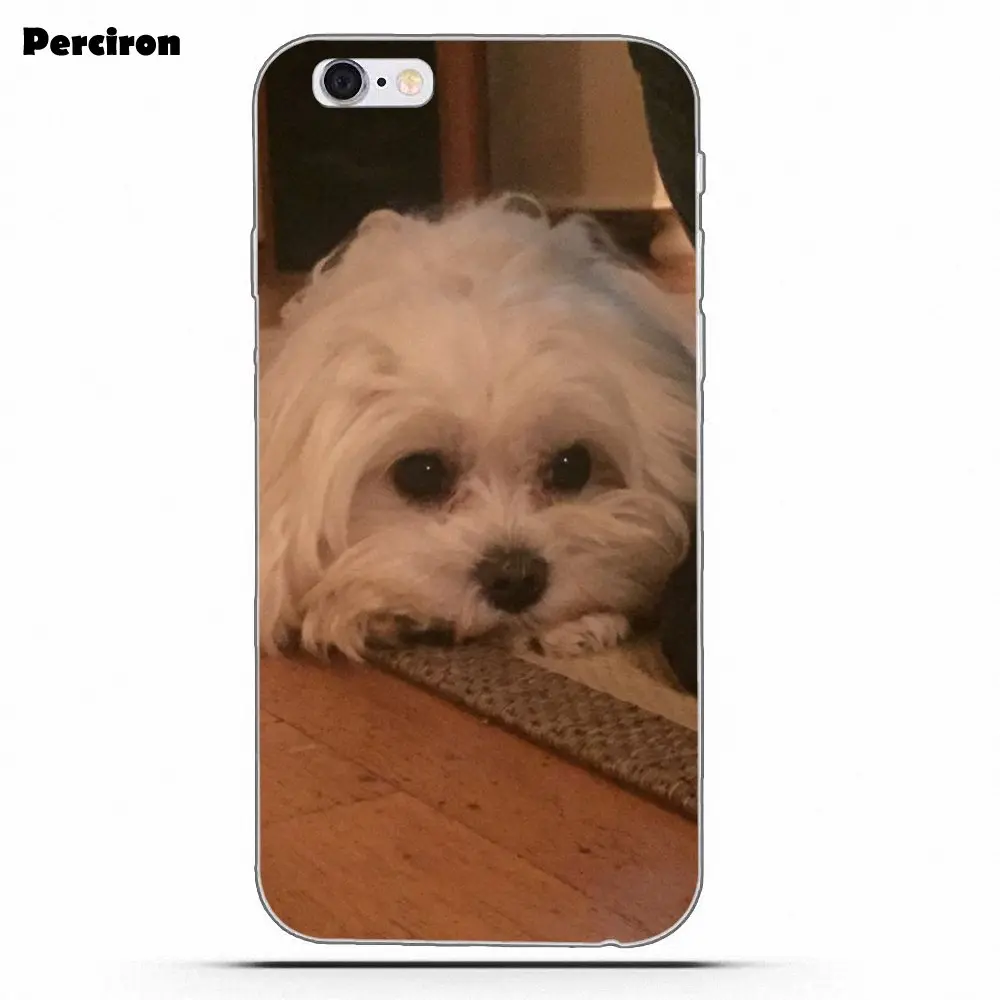as picture Perciron мягкий чехол для Huawei P7 P8 P9 P10 P20 P30 Lite Mini Plus Pro Мальтийская болонка - Цвет: as picture