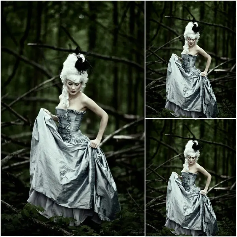 

Customer-made!17 Century Vintage Costumes Steampunk dresses Gothic Dress Renaissance Dresses Cosplay Halloween Dresses C-1188