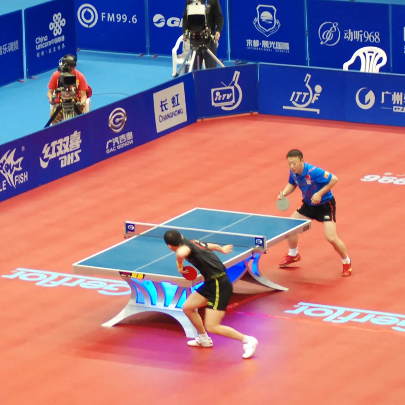 Высокое качество двойная рыба волан Кинг ITTF утвержденная и стандартная таблица