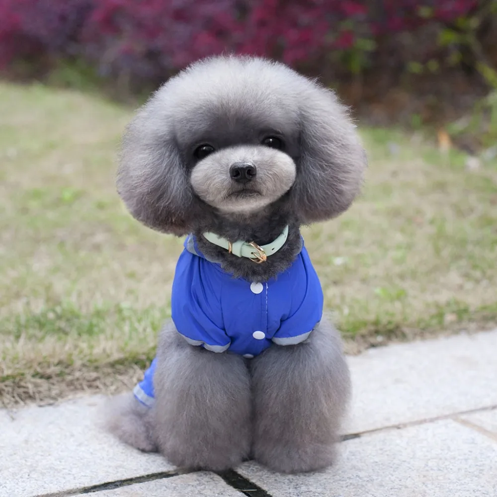 Дождевик для собак Летний комбинезон прогулок с щенками однотонный Новый