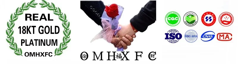 OMHXFC Европейская мода женщина девушка вечерние День рождения Свадьба Подарок Круглый ААА Циркон 18KT кулон из белого золота ожерелье EX62