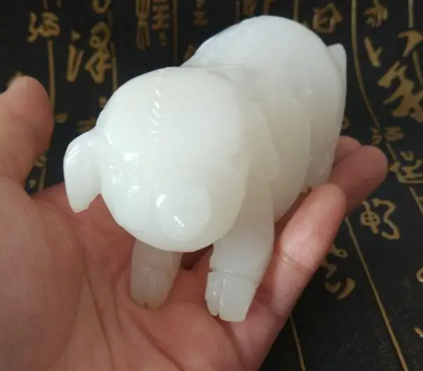 Aussie Знаки зодиака свинка белый нефрит украшение новая реальность специальные