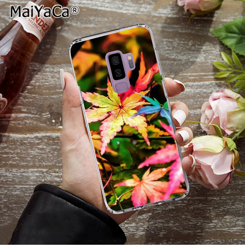 MaiYaCa Hello осень чехол с рисунком кленовых листьев чехлы для телефонов Samsung S9 plus S5 S6