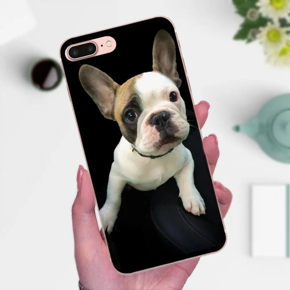 В продаже животное Милая мопса собака для Apple iPhone 4 4S 5 5C 5S SE 6 6S 7 8 Plus X XS Max XR |