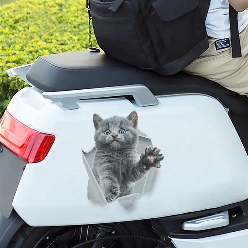 Мультяшная кошка котенок 3d стена фотообои унитаз кухонная мебель декор роспись