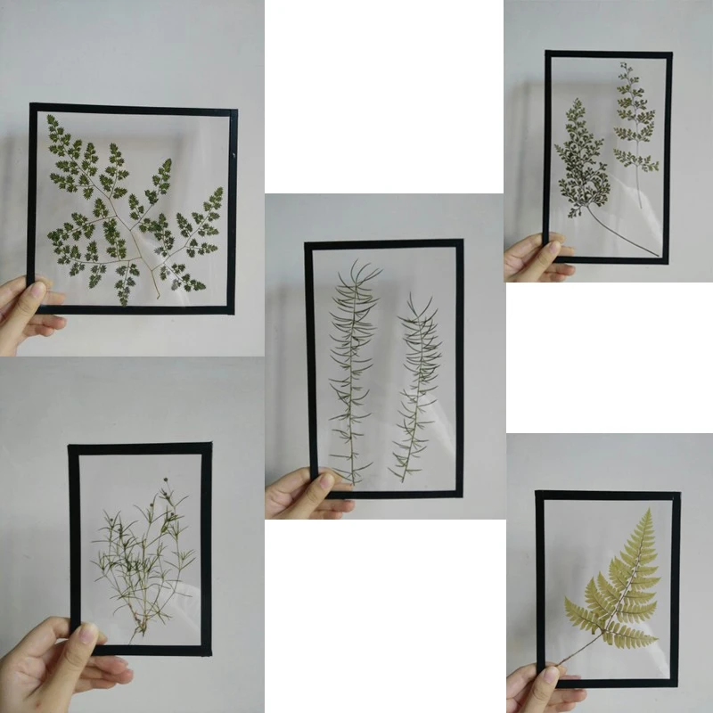 2 шт прозрачный акриловый стеклянный лист образец растения фоторамка DIY черная