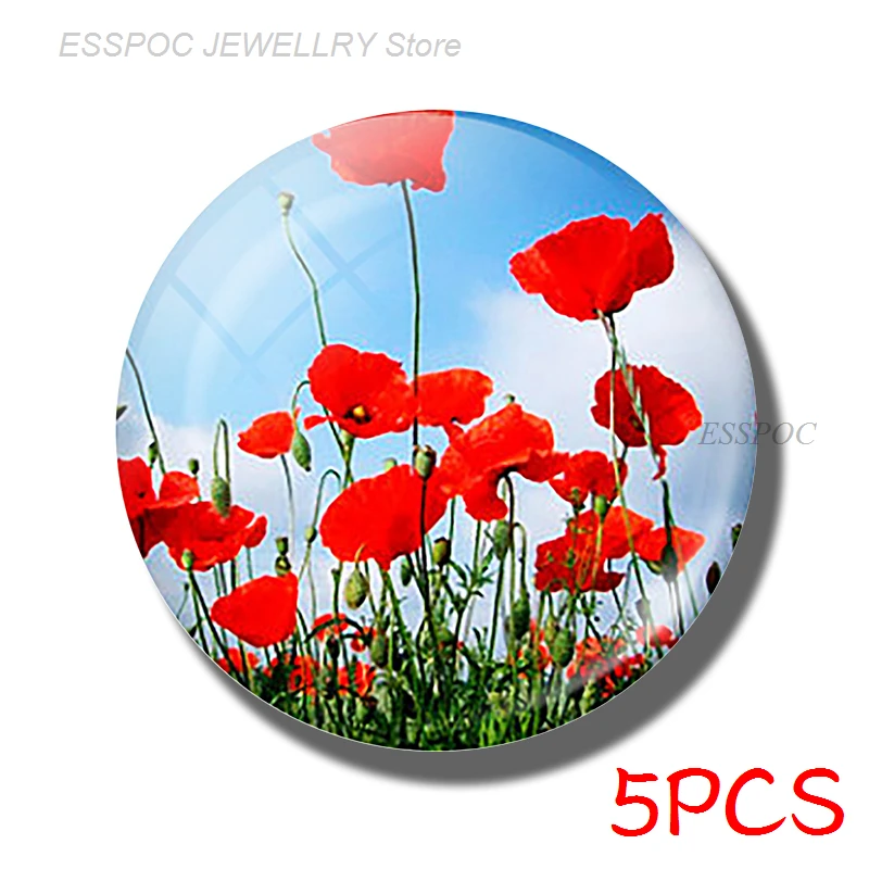 5PCS/SET Daisy Rose Sakura Simple Style Jewelry 25mm Glass Cabochon Poppy Flower Making Fashion Accessories Men Women Gifts | Украшения и