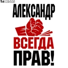 Три мишки WCS273 12x17,3 см кулак Александр всегда прав! Забавные красочные наклейки на автомобиль Авто Наклейка Автомобильные отличительные знаки