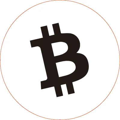 Биткоин восковая головка штемпеля только латунная DIY старинная печать в стиле