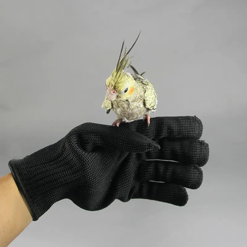 

1PCS Biteproof Gloves Flying Gloves Parrot Gloves Bird Accessories Wire Gloves