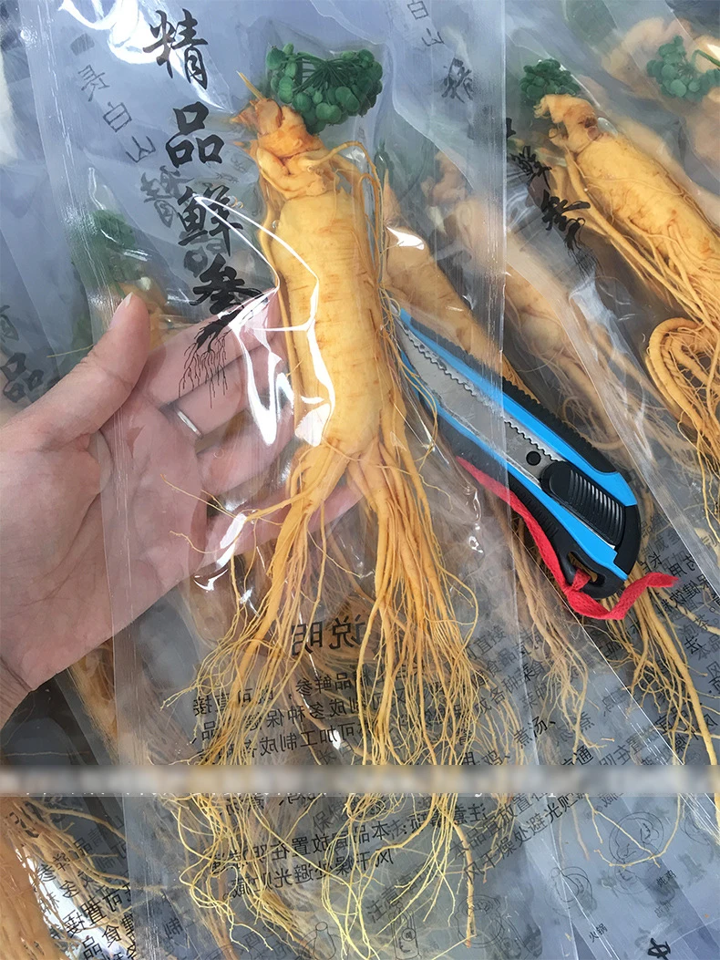 Топ Класс свежий корня женьшенья в вакуумной упаковке и листев свежий корень женьшеня