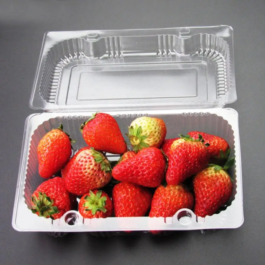 25 Pcs Disposable Plastic Hinged Loaf Container Food Fruit Storage Box Cosmetic Children Kids School Office Portable Bento Box