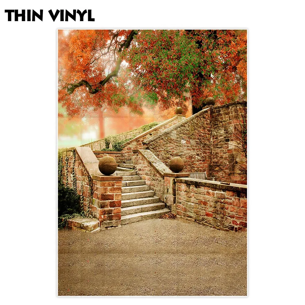 Фон для фотосъемки Allenjoy осень клен старый кирпич лестница осенний парк фон