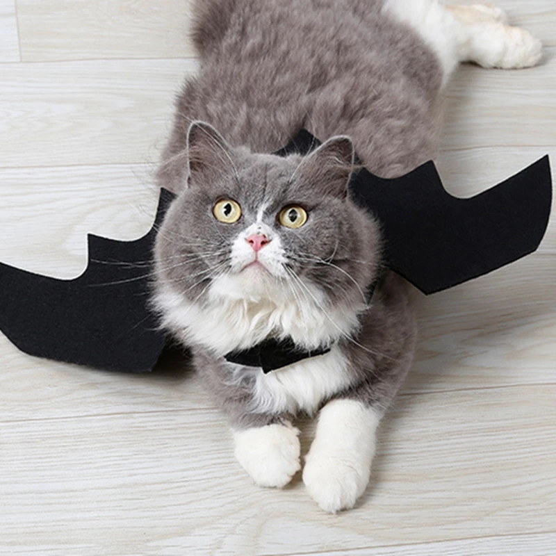 [Магазин MPK] Костюм Кошки на Хэллоуин крылья летучей мыши классный костюм кошки
