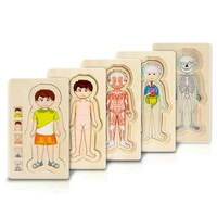 montessori wooden multi layer puzzle human body puzzle boys girls body structure wood puzzles kids educational wooden toys