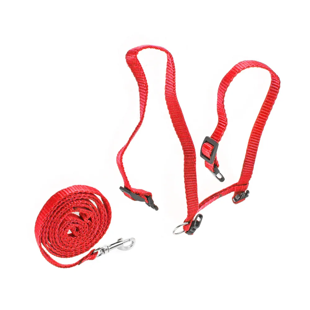 Поводок для маленьких домашних животных 120 см | Дом и сад