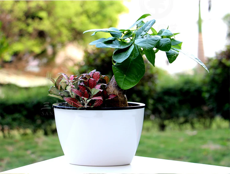 Автоматические водные ленивые цветочные горшки мульти-мясо Имитация Керамические белые горшки зеленая редька горшки для помещений творческие цветочные горшки