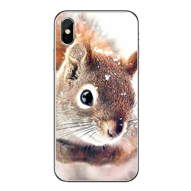 Мягкий прозрачный чехол для iPod Touch iPhone 4 4S 5 5S 5C SE 6 6S 7 8 X XR XS Plus MAX Red Squirrel Sciurus vulgaris |