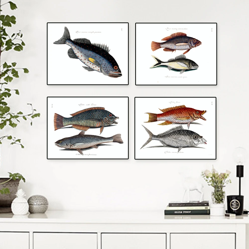 Рыбацкие принты Винтаж/Античный цвет рисунок рыбы без рамы набор из 4 Рыбалка