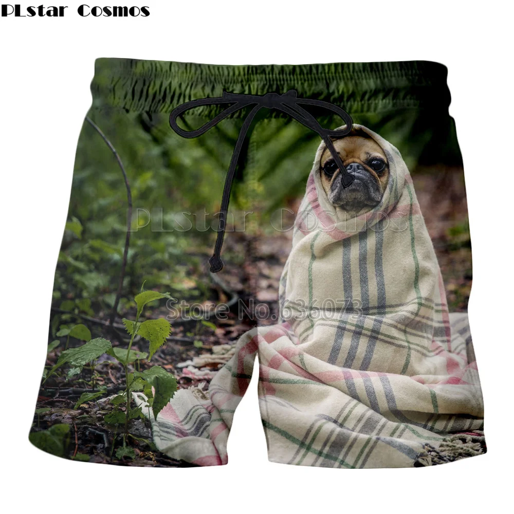

PLstar Cosmos 2018 summer New Fashion Men/Women Shorts animal ruffed lemur/leopard/white horse 3d Print O-Neck Casual shorts