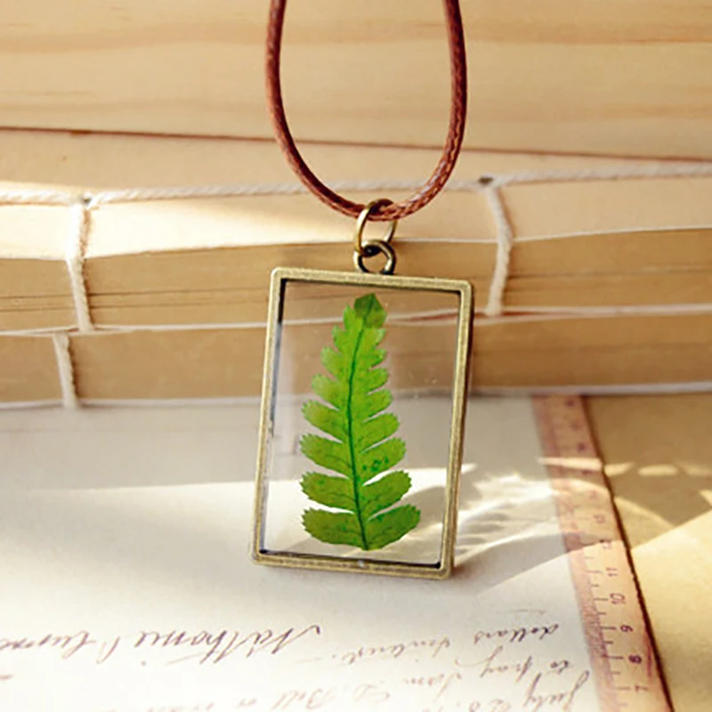 Ручной работы Pteridophyte с лечебным действием образцы Кристалл Террариум