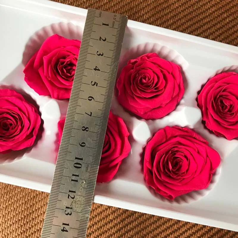 5 см природа свежий консервированный Роза голова в Fuschia Красавица и Чудовище