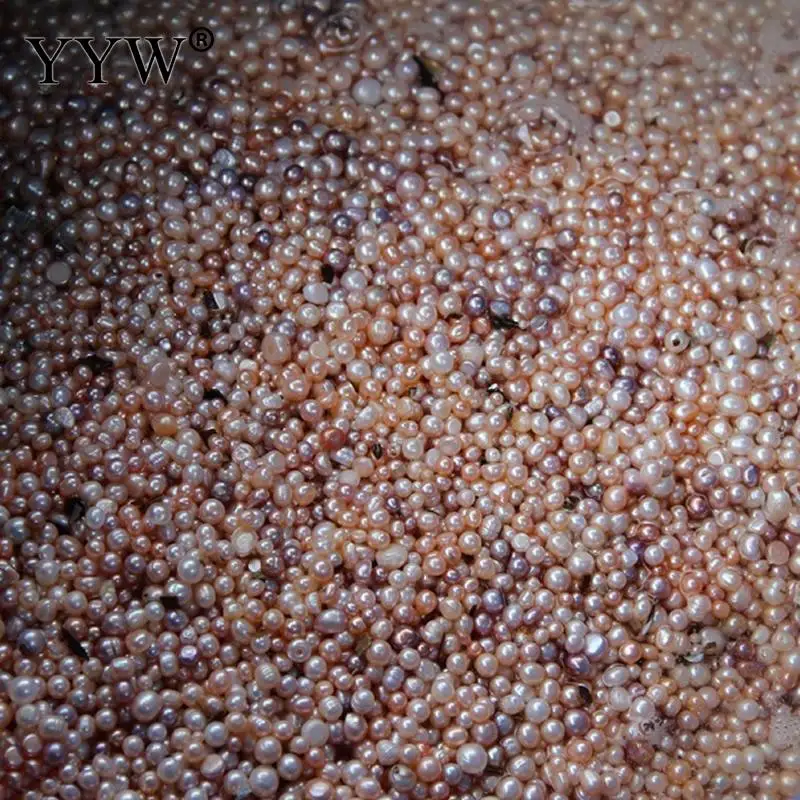 

YYW 10PCs Big Natural Freshwater Cultured Love Wish Pearl Oyster 5-10mm Randomly Color Jewelry Vacuum-packed Shell Pearl Oyster