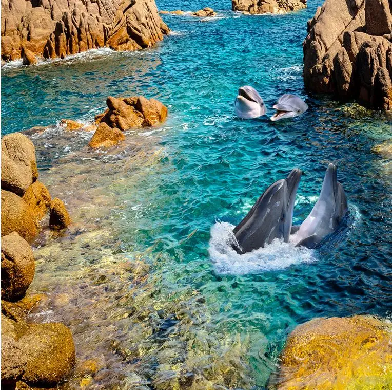 Поливинилхлоридовый пол Стикеры настенные росписи Современные