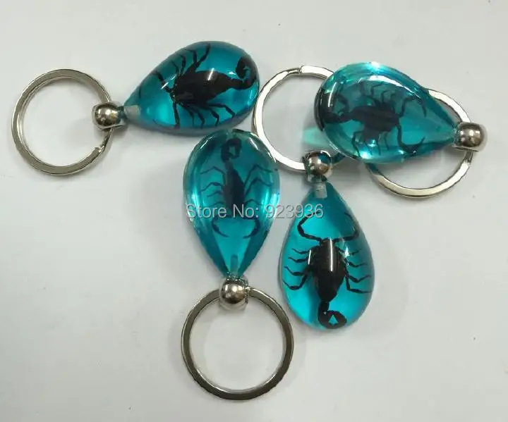 10 PCS Real Dark Black Scorpion Insect Aqua Blue Resin Specimen Keychain | Украшения и аксессуары