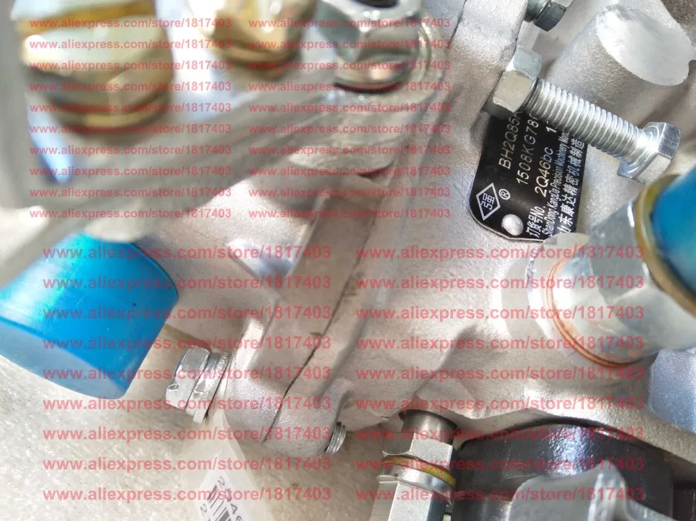 2Q46bc топливный насос впрыска BH2Q85R8 Фуцзянь Lijia части двигателя SL2105ABN | Обустройство