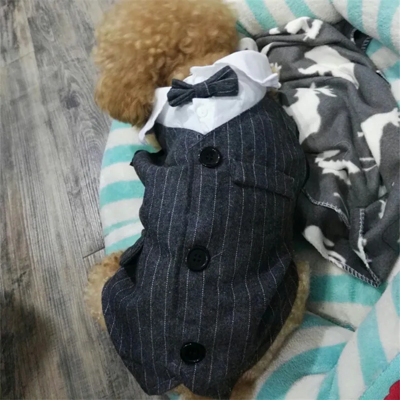 Bigeyedog одежда для джентльменов, одежда для собак, мужской свадебный костюм для собак, смокинг, пудель, костюм для мопса, Прямая поставка, одежда для домашних животных