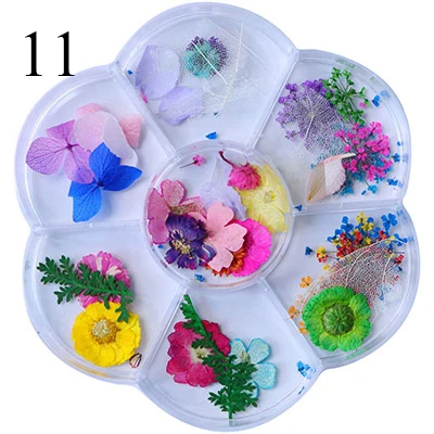 11 Natural Nail Dried Flowers Decoration Mix Dry Flower And Leaf Decor 3D Nail Art Designs Gypsophila Manicure Accessories - Цвет: 11